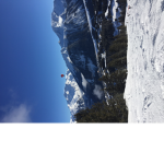 SKIING IS THE BEST!!