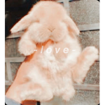 . l o v e .