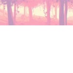 ||~|| Anime Paradise ||~||