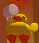 Duck_Man gang