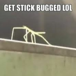 Stickbuggers