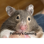 Porkey’s Gaming Fan Group