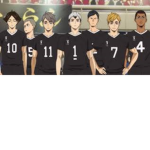 In a r iza ki v olly ball club