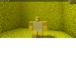 F3X Simulator!