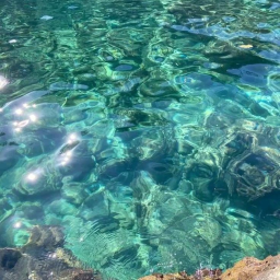 ╭・🌊˚ · .