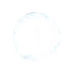 伊達