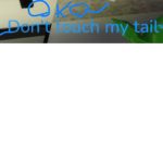 Don’t talk to my bunny tail