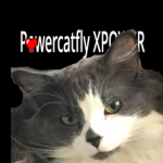 Powercatfly XPOWER Official Group
