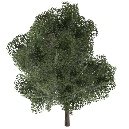 [Free!] Oak Tree! Urban Obby Vibe Furniture City W