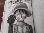 One piece and anime fans