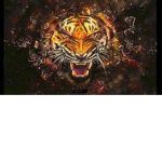Tigerz Clothes