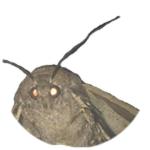 𝔏ä𝔪𝔭