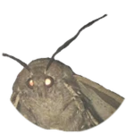 𝔏ä𝔪𝔭