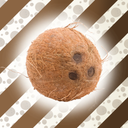 Coconut