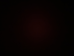 0-:5567457
