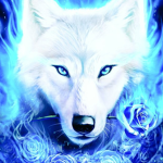 "Blue Wolfs Team"