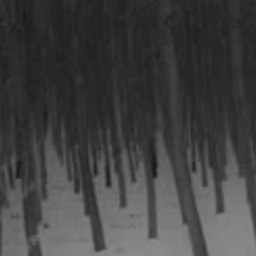 死ぬ