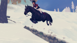 ‘ / , Risen Wings Stables , \ ‘