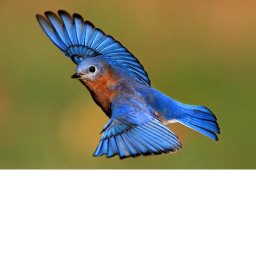 Flying high 🐦