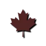 India Company, 2RCR