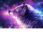 Nightwolves premium