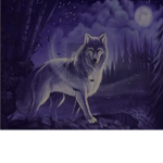 Husky Fam!