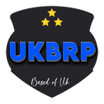 UK Border Roleplay 24