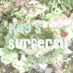 Tess’s surfers !!