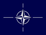 [NATO] North AtIantic Treaty Organizationᅠ
