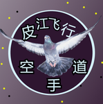 Pidgeon Flight Karate Group Thumbnail