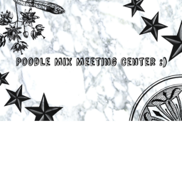 Poodle Mix Meeting Center[BETA]
