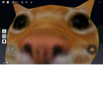 MEMES ARE FUNNY3
