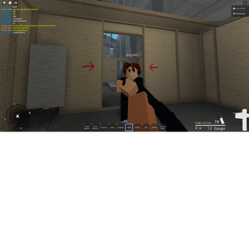 new gun zone
