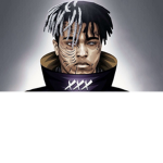 Savege_team