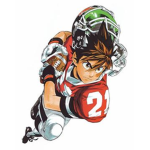 Football leauge fLL