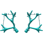 Frozen Reindeer Antlers