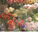 diordays
