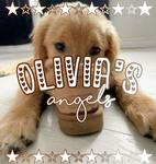 - [ olivia’s angels ] -