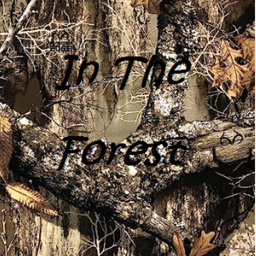 In The Forest (New Update)