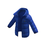 The Gorham Down Jacket
