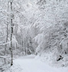 Winter snowfall.
