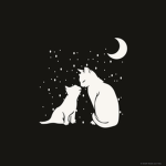 The midnight moon cats