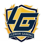 LG LLEWORGAMING FAN GROUP