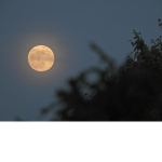 Sun & Moons