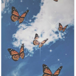Mariposas_u.u