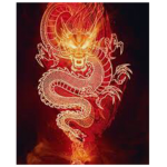 Dragon’ Fire