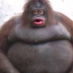 giga monke productions