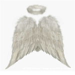 AngelWings555