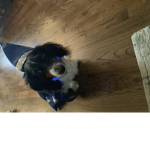 KingZacheryJr