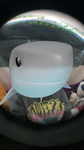 ROMIBEAR